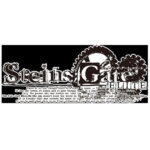 MAGES.　PS4ゲームソフト　STEINS;GATE ELITE 完全受注生産限定版