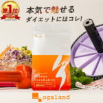 コレウス フォルスコリ（約1ヶ月分）送料無料 ダイエット サプリ 植物性 イヌリン デキストリン 食物繊維 フォルスコリ 燃焼系 ダイエットサプリ 水溶性食物繊維 スーパーフード フォルスコリン オーガランド サプリメント